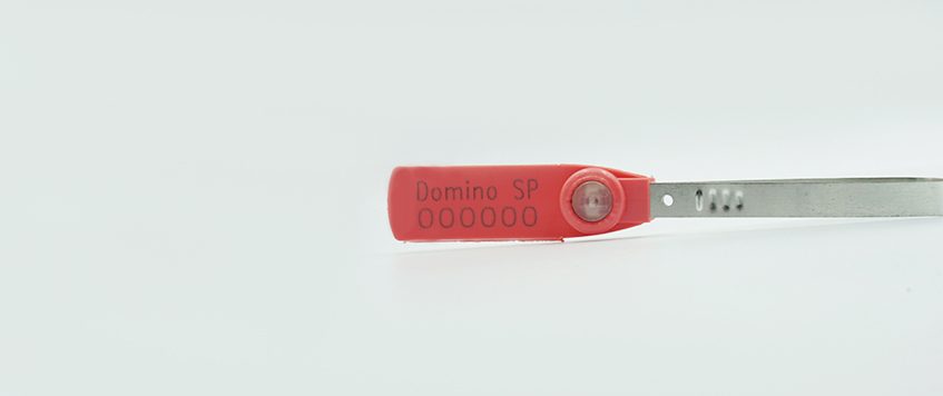 Domino SP